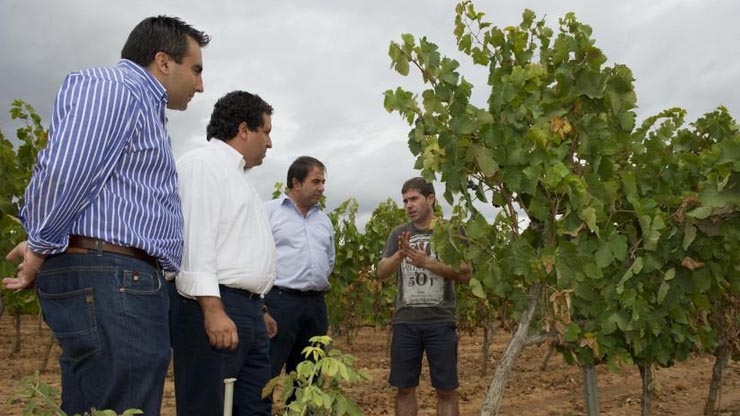 La Diputación de Castellón suma valor al producto autóctono a través de 56 ferias y la investigación genética para mejorar la calidad