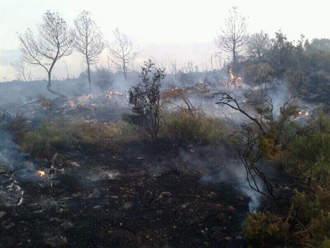 Seis brigadas y dos autobombas refrescan la zona del incendio de Sierra de Mariola, ya controlado